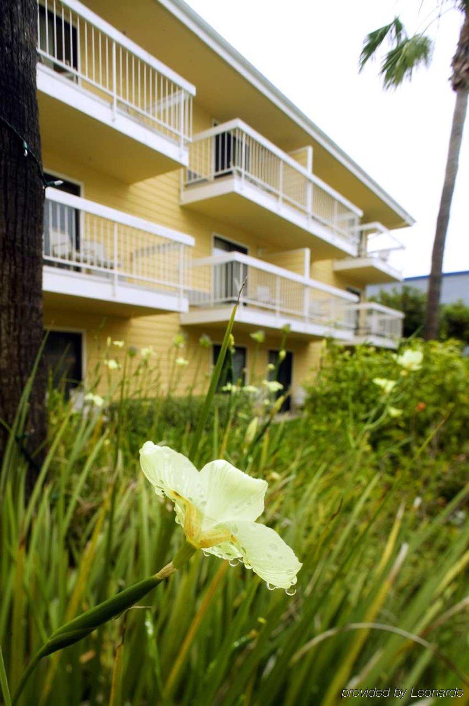 Four Points By Sheraton San Diego - Sea World Værelse billede